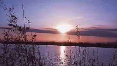 唯美芦苇湖边晚霞日落延时空境实拍视频的预览图